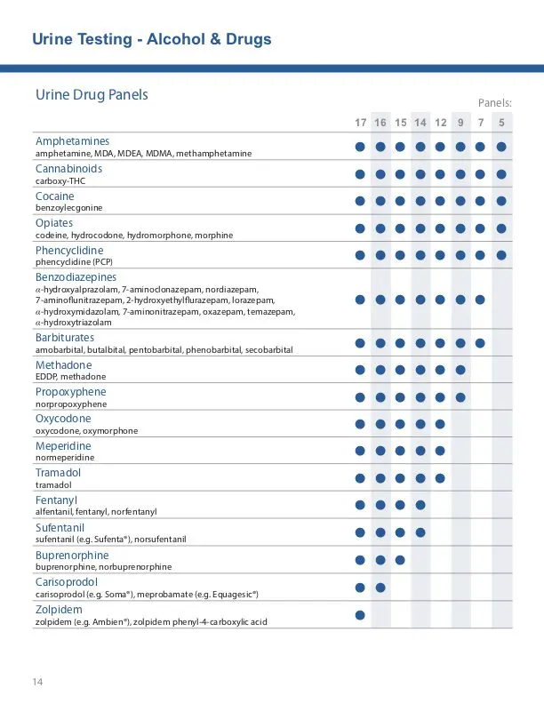 A table with multiple categories of items in it.